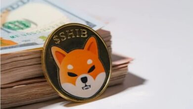 shiba coin Detafour